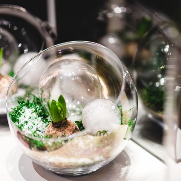 CC在线压力测试